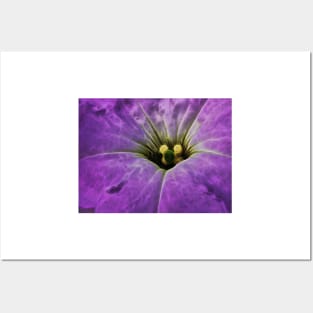 closeup macro photography of single bright purple glowing vivid floral fantasy with delicate and intricate gold coloured stamens Posters and Art